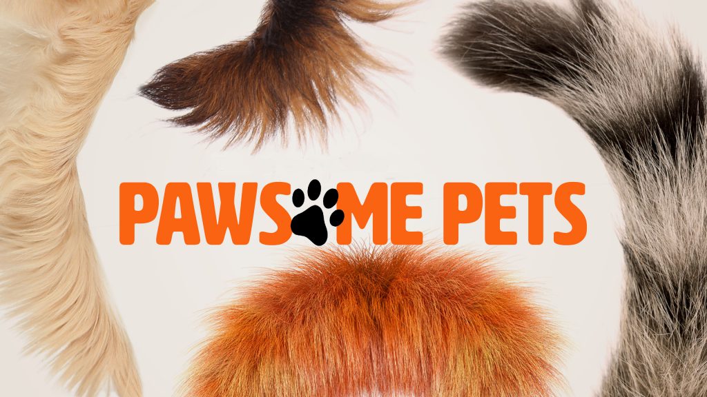 Pawsome Pets - Caters Media Group